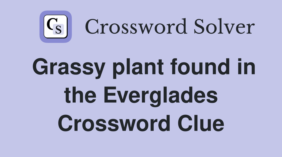 Grassy plant found in the Everglades Crossword Clue Answers